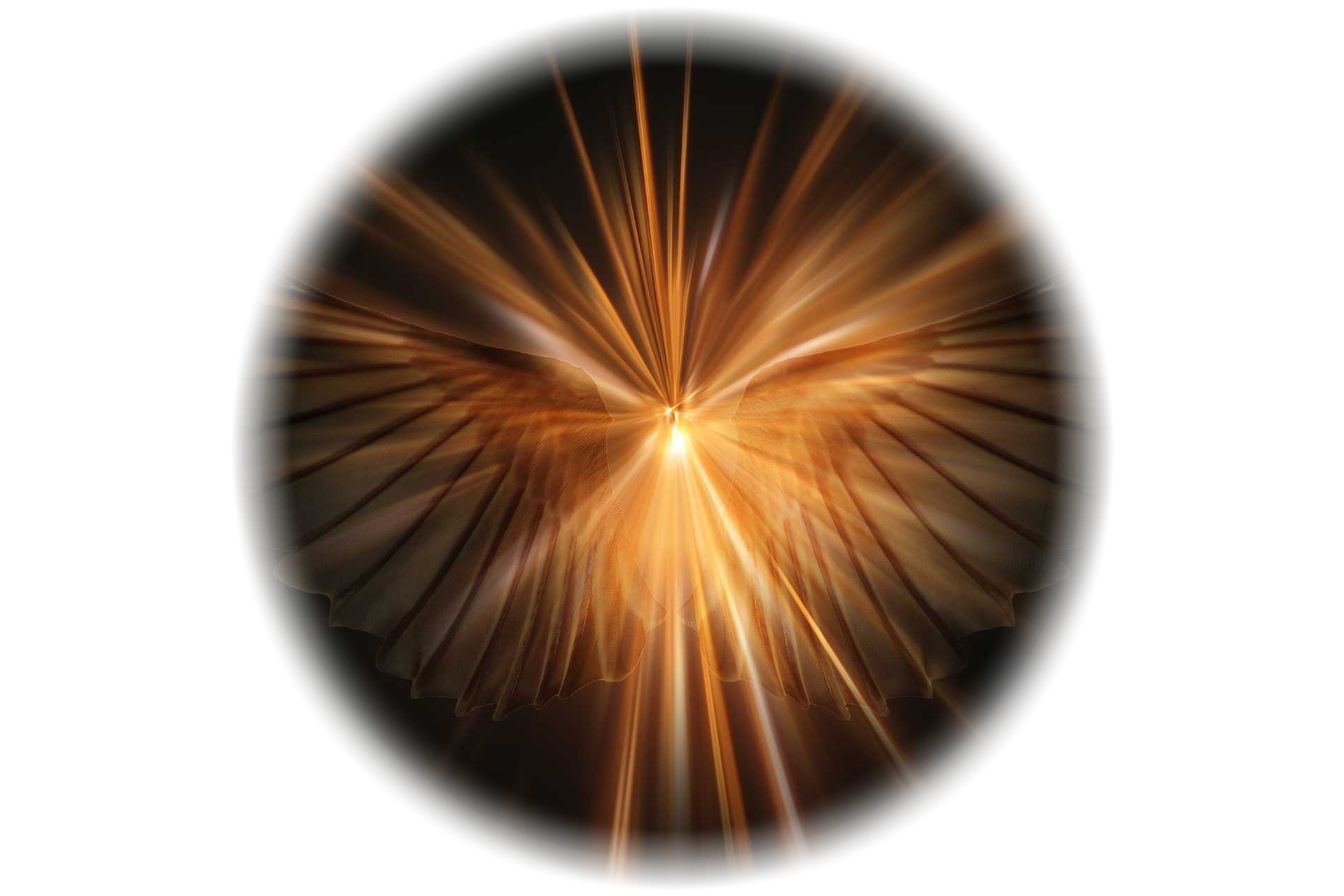 orange star