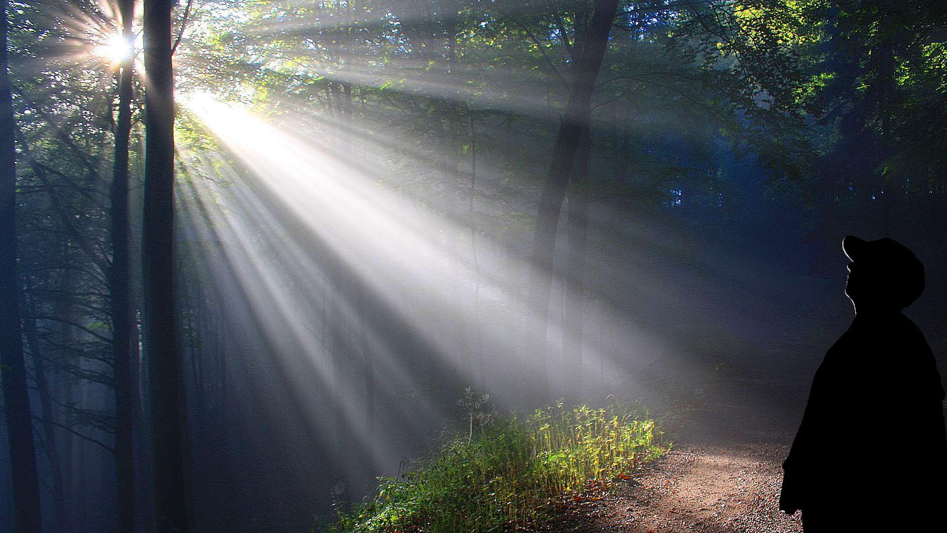 sunbeams