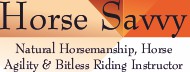 Horse Savvy Natural Horsemanship Tuition