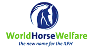 World Horse Welfare