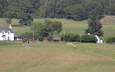 countryside