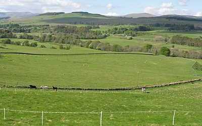 countryside