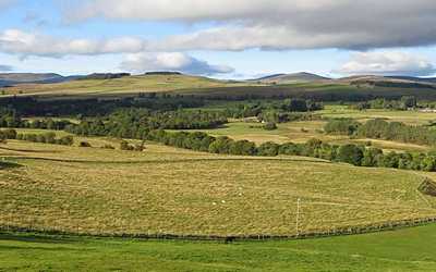 countryside
