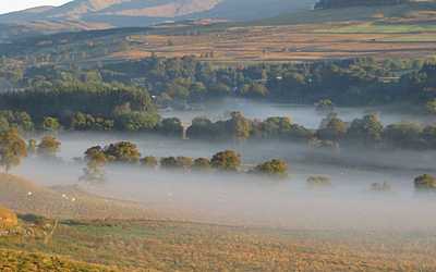 countryside